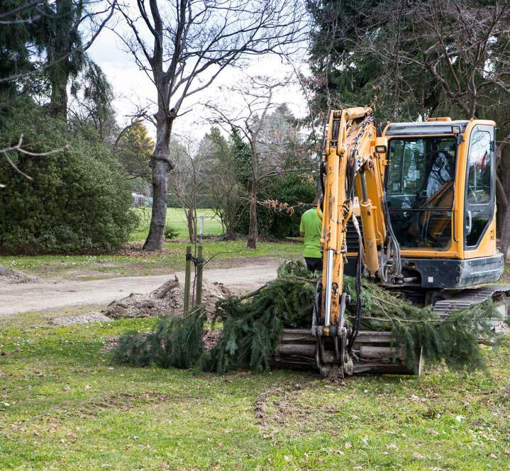 Nettoyage efficace de vos terrains et maquis