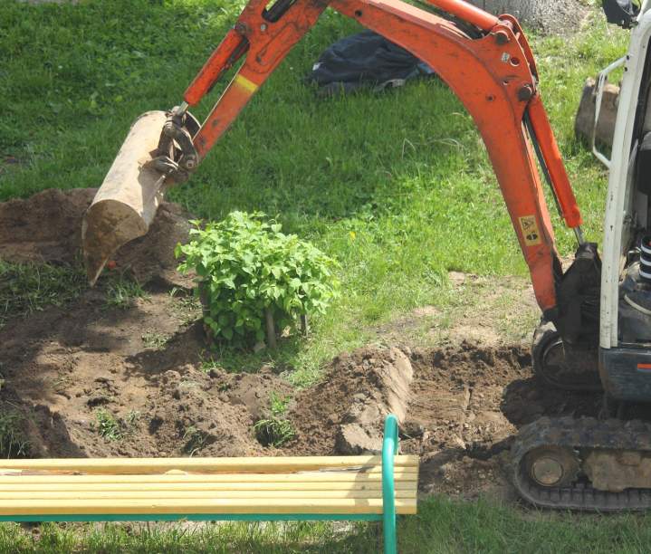 Nettoyage de parcelles Casaglione